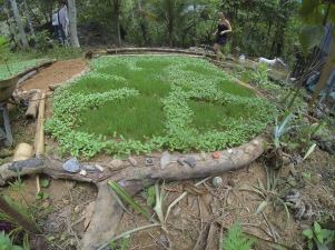 12239506_701997423235694_6626036559796910282_n